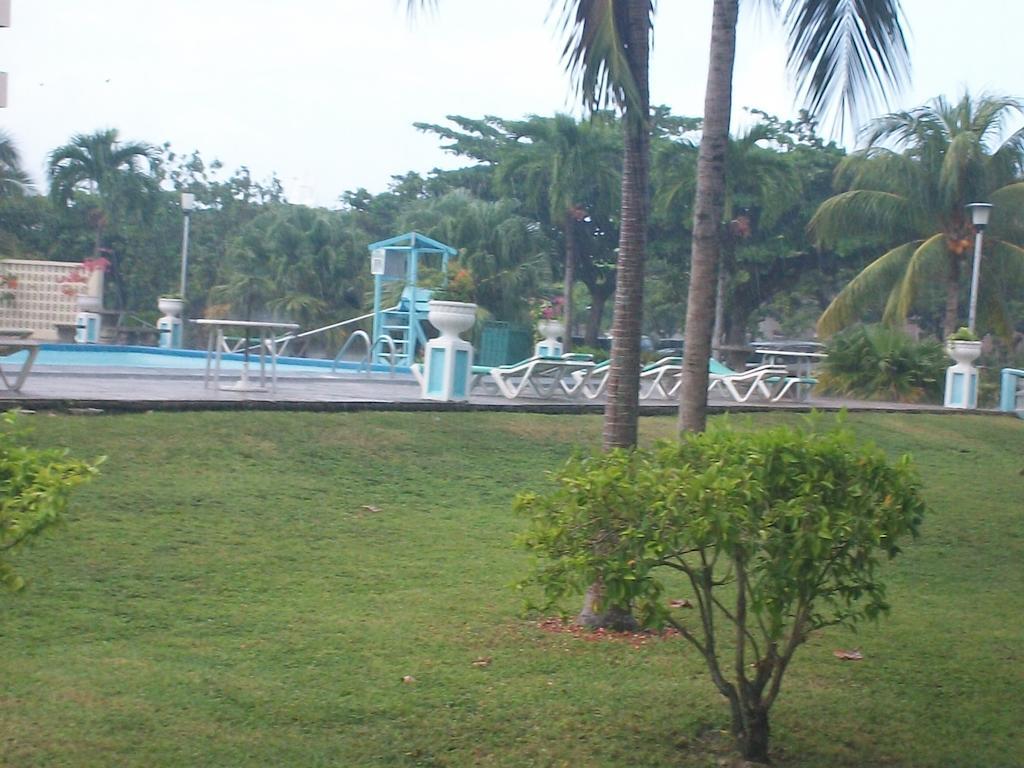 Turtle Towers Lägenhet Ocho Rios Exteriör bild